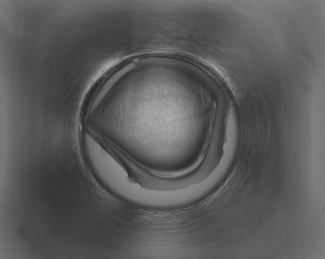 X0000116341414200912291603