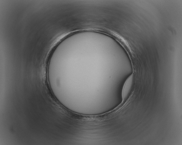 X0000116341415200912291603