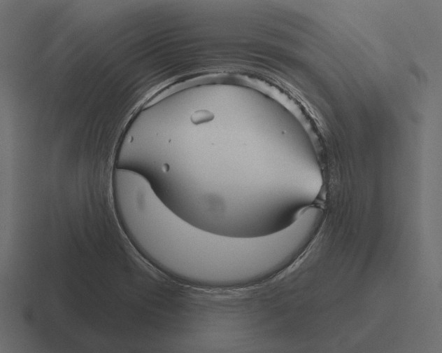 X0000116341417200912291603