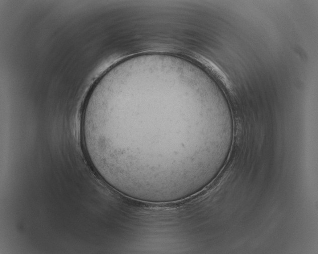 X0000116341419200912291603