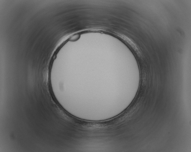 X0000116341420200912291603