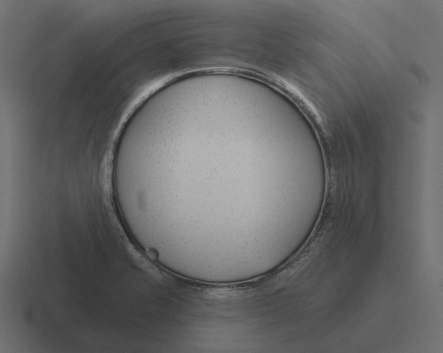 X0000116341421200912291603