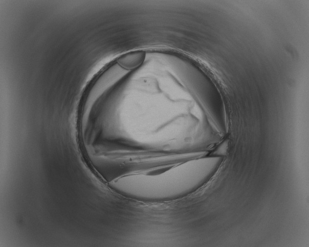 X0000116341422200912291603