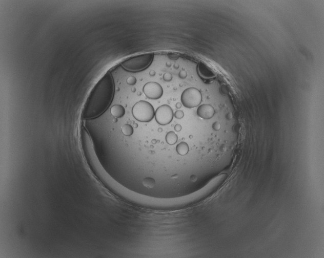 X0000116341423200912291603