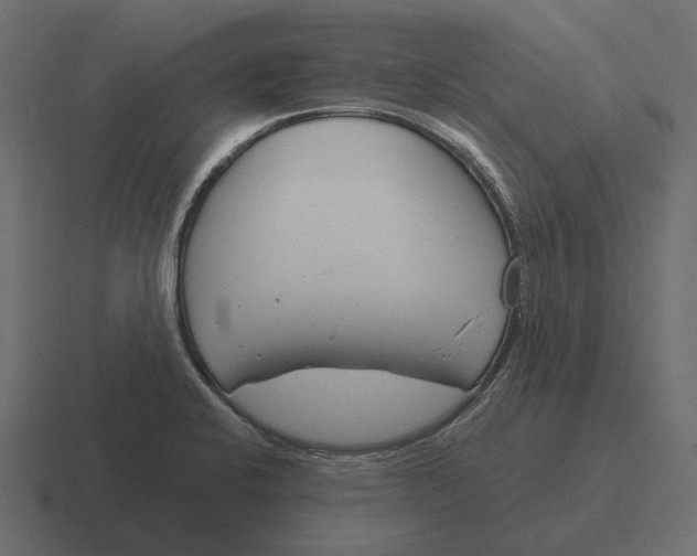 X0000116341424200912291603