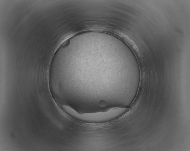 X0000116341425200912291603