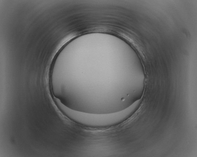 X0000116341426200912291603