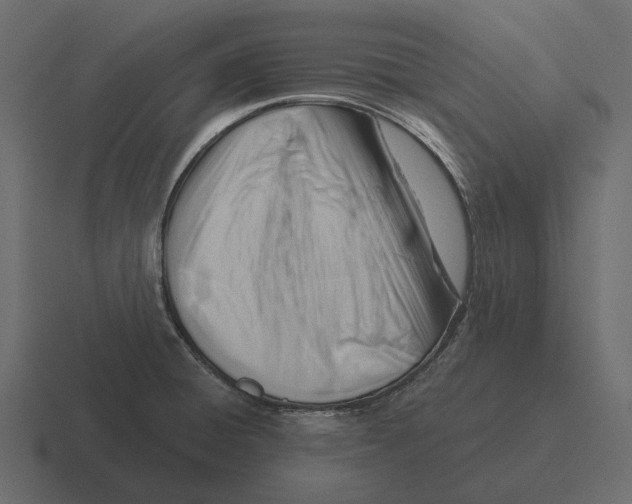 X0000116341428200912291603