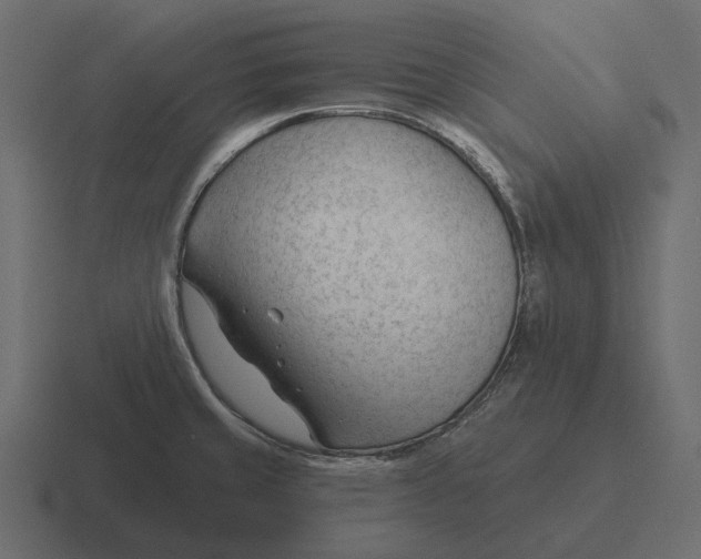 X0000116341429200912291603