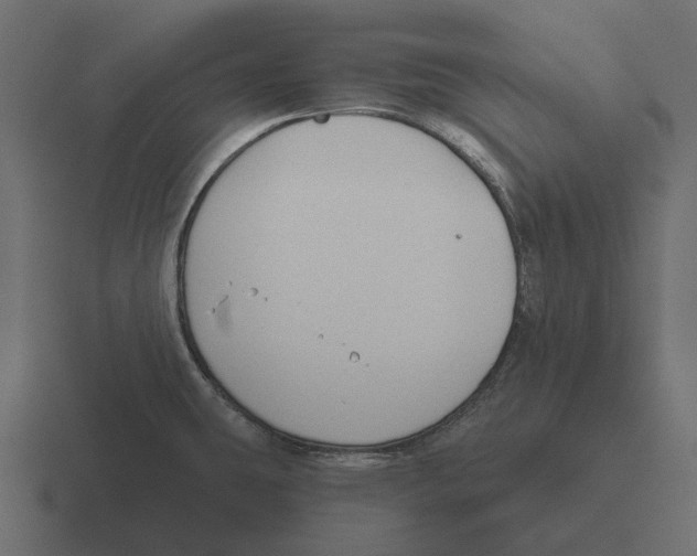 X0000116341431200912291603