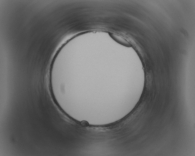 X0000116341432200912291603