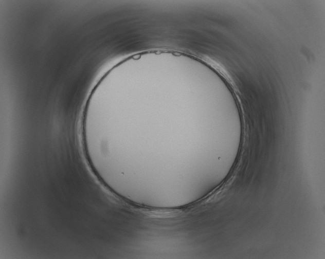 X0000116341440200912291603