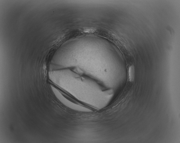 X0000116341443200912291603