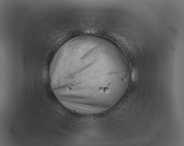 X0000116341444200912291603