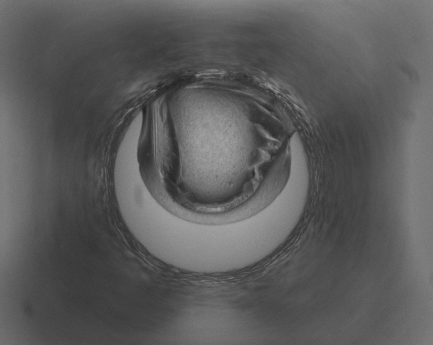 X0000116341445200912291603