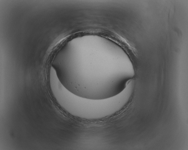 X0000116341448200912291603