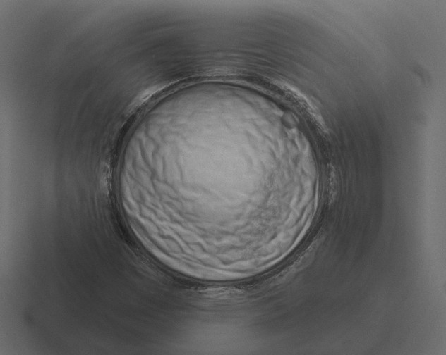 X0000116341449200912291603