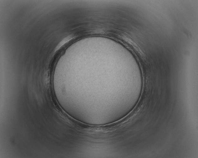 X0000116341450200912291603