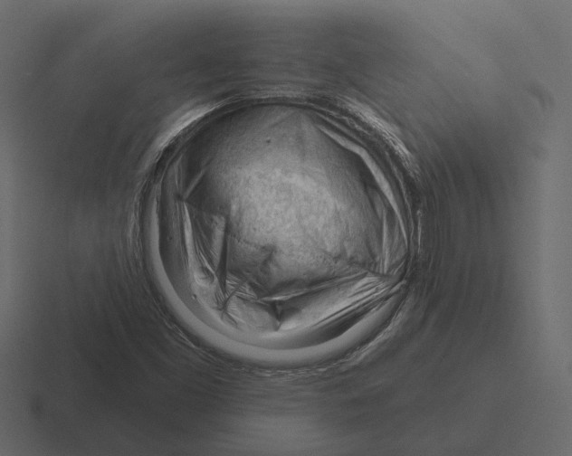 X0000116341453200912291603