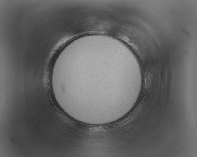 X0000116341454200912291603