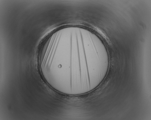 X0000116341456200912291603