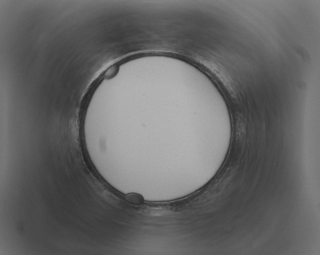 X0000116341460200912291603