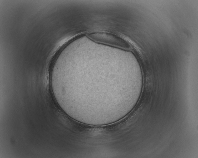 X0000116341461200912291603