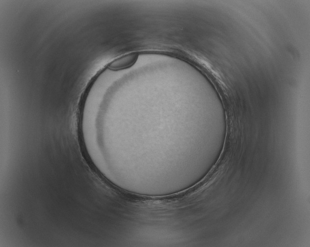 X0000116341463200912291603