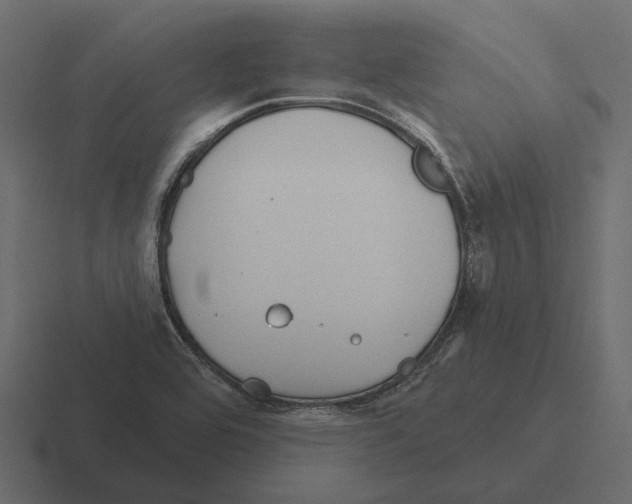 X0000116341464200912291603