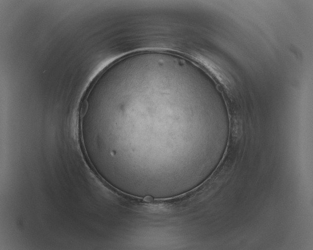 X0000116341468200912291603