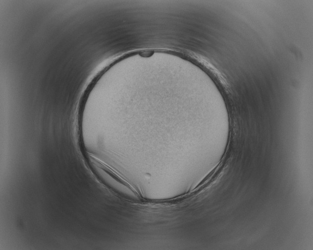 X0000116341469200912291602