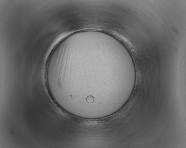 X0000116341470200912291602