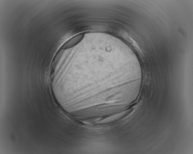 X0000116341473200912291602