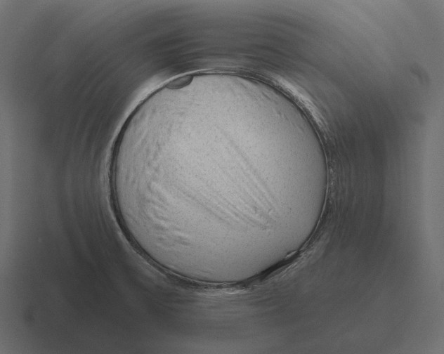 X0000116341475200912291602