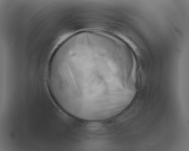 X0000116341477200912291602