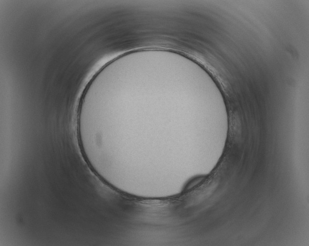 X0000116341478200912291602