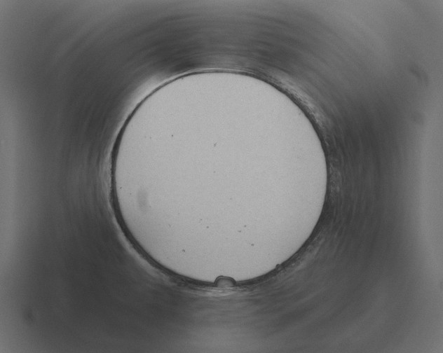 X0000116341479200912291602