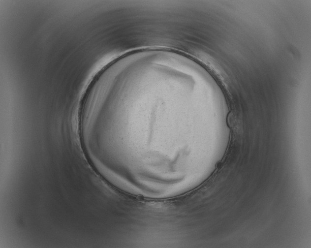 X0000116341480200912291602