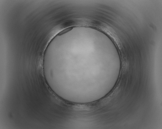 X0000116341481200912291602