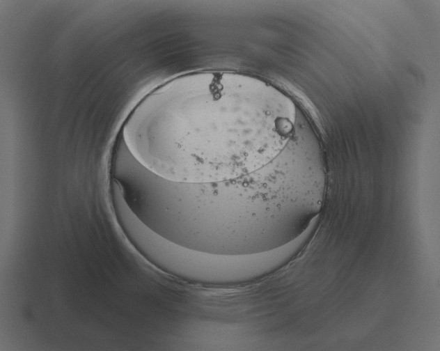 X0000116341483200912291602