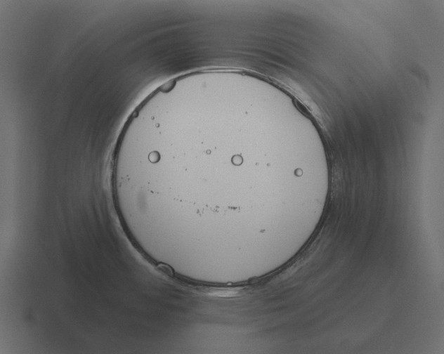 X0000116341484200912291602