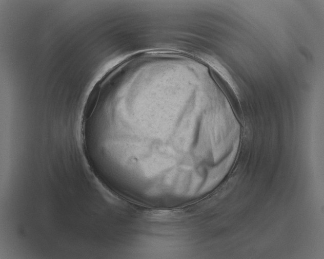 X0000116341485200912291602