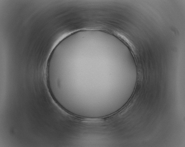 X0000116341487200912291602