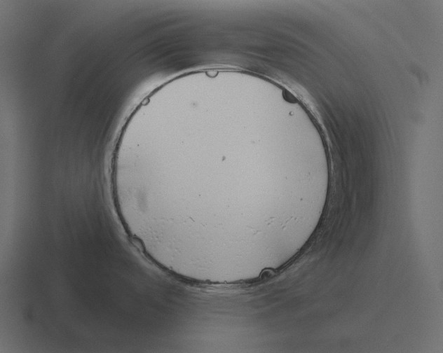 X0000116341488200912291602