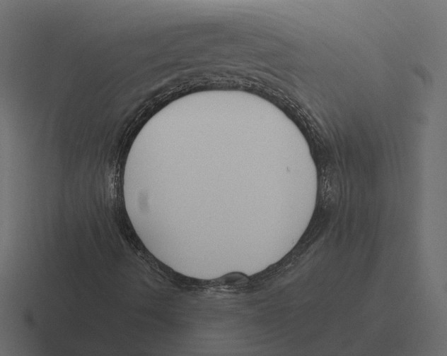 X0000116341490200912291602