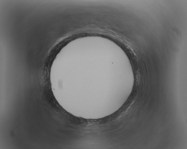 X0000116341494200912291602