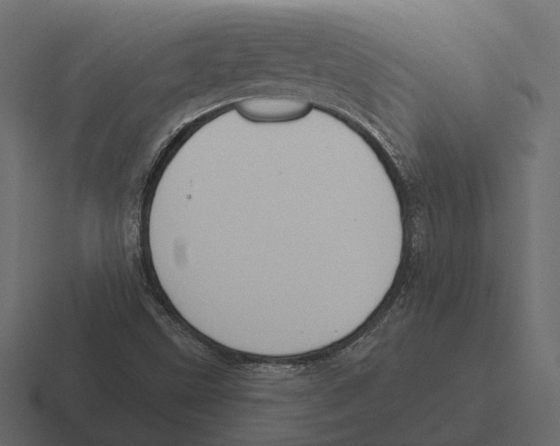 X0000116341499200912291602