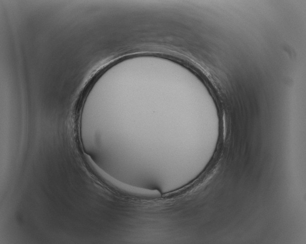 X0000116341501200912291602