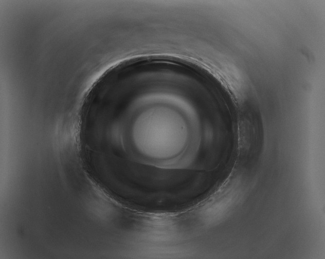 X0000116341502200912291602