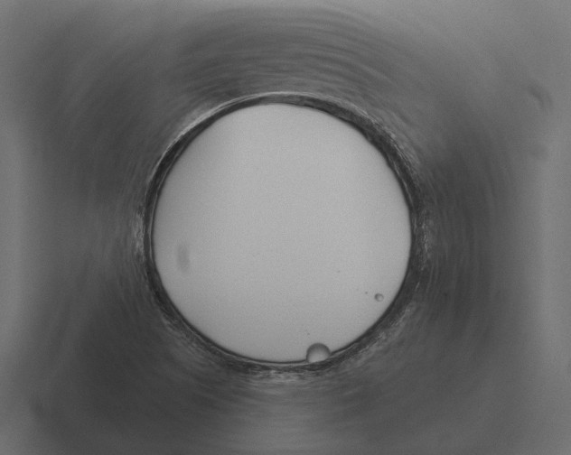 X0000116341505200912291602